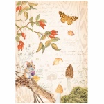 A4 rizspapír csom. - Woodland butterfly