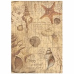 A4 rizspapír csom. - Sea Land shells