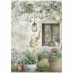 A4 rizspapír csom. - Herbarium Silvae window