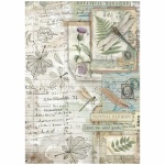 A4 rizspapír csom. - Herbarium Silvae botanic